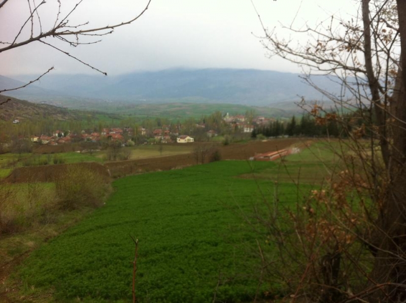 Yerkozlu köyü