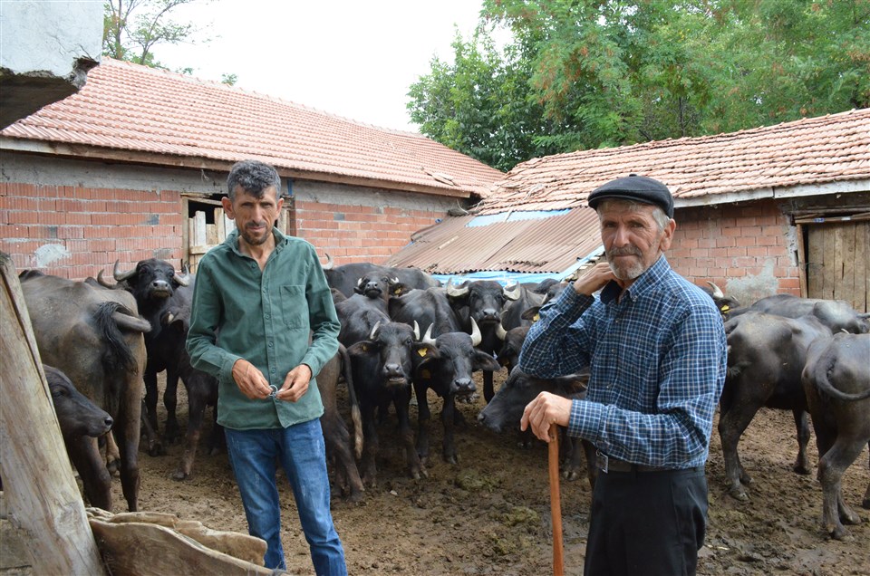 Av. Mehmet Celep  Çambükü Köyü Hakkında Açıklamalarda Bulundu
