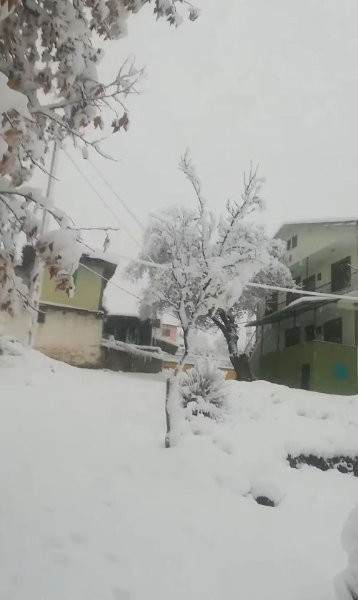 Yerkozlu köyü