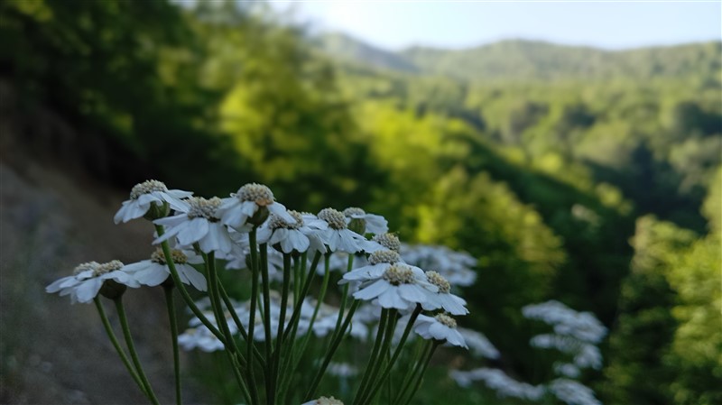 Boğalı Dağı’nda Gezdik Gördük: