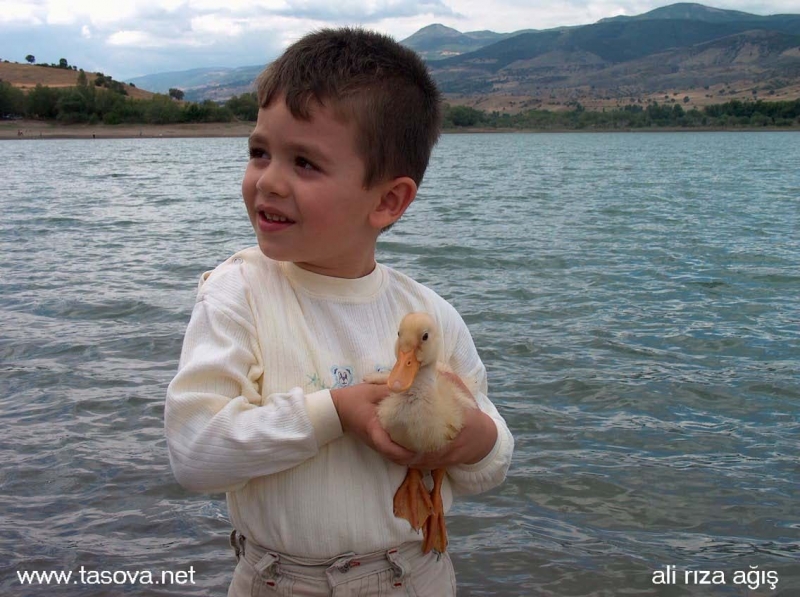 Yerkozlu köyü