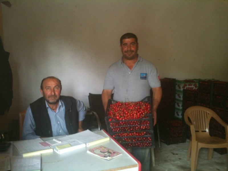 Yerkozlu köyü