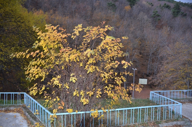 Yerkozlu köyü