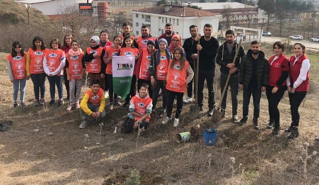 Taşova'da Fidan Dikme Etkinliği Düzenlendi