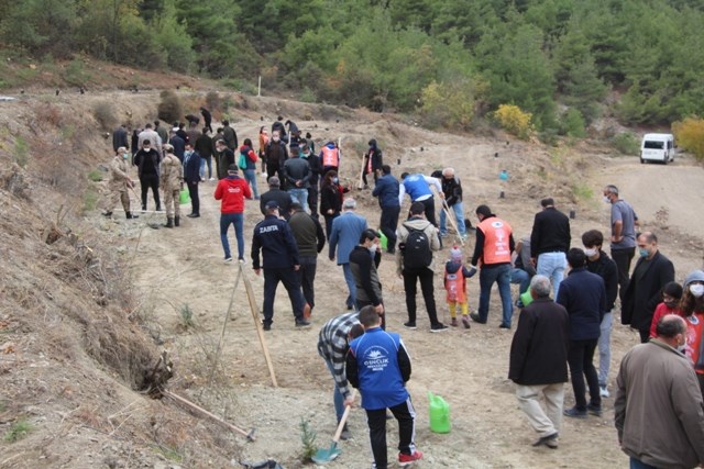 Taşova'da 5 Bin Fidan Toprakla Buluştu