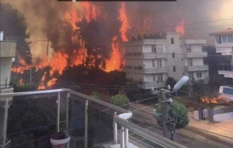 Taşova Orman İşletme Osmaniye Kadirli de