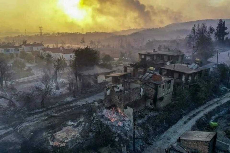 Taşova Orman İşletme Osmaniye Kadirli de