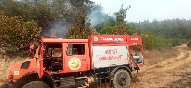 Taşova Orman İşletme Osmaniye Kadirli de