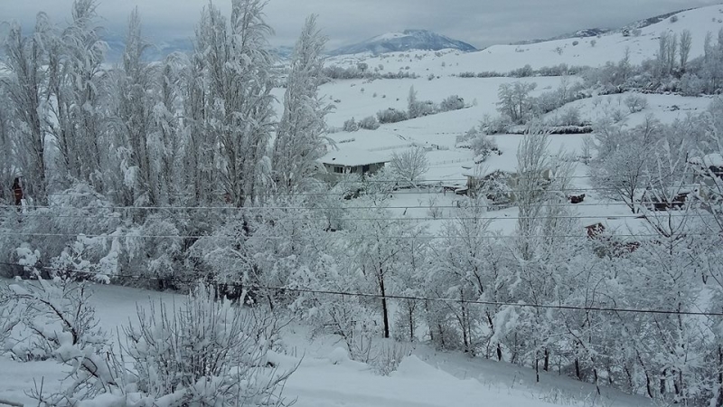 Yerkozlu köyü
