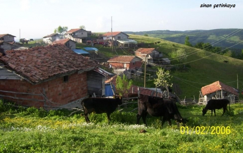 Yerkozlu köyü