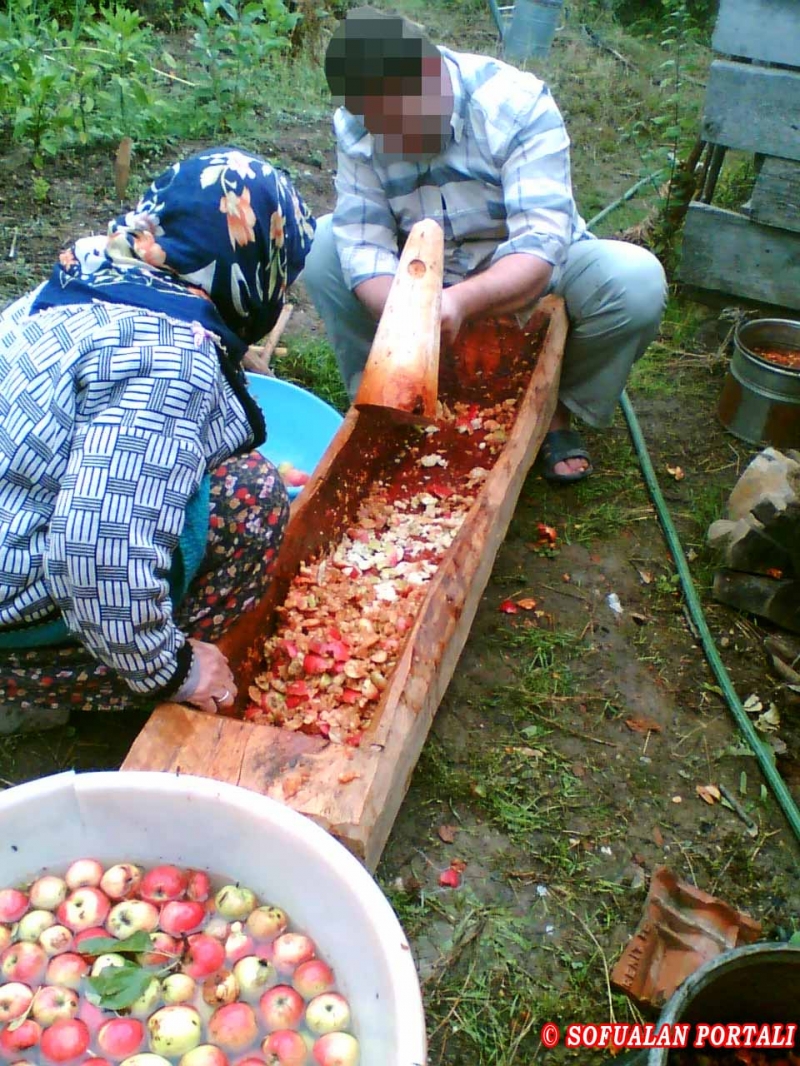 Yerkozlu köyü