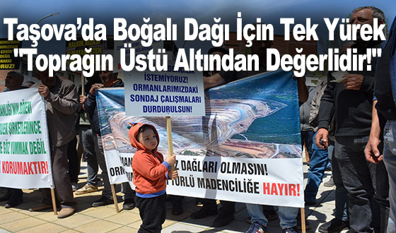 Taşova’da Boğalı Dağı İçin Tek Yürek: 