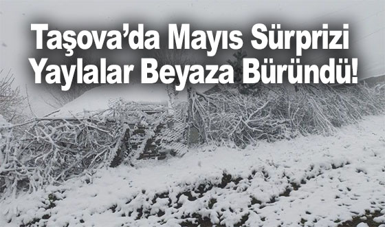 Taşova’da Mayıs Sürprizi: Yaylalar Beyaza Büründü!