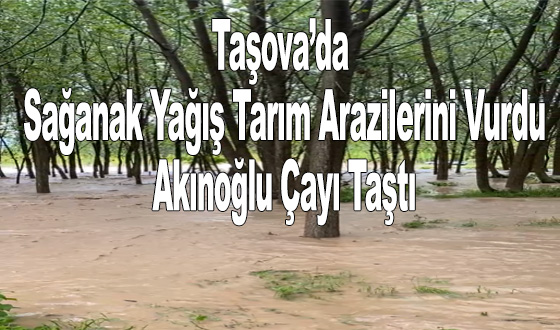 Taşova’da Sağanak Yağış Tarım Arazilerini Vurdu: Akınoğlu Çayı Taştı