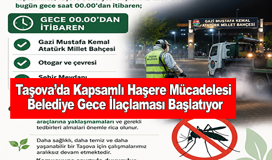 Taşova’da Kapsamlı Haşere Mücadelesi: Belediye Gece İlaçlaması Başlatıyor