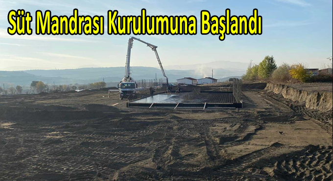Süt Mandrası Kurulumuna Başlandı