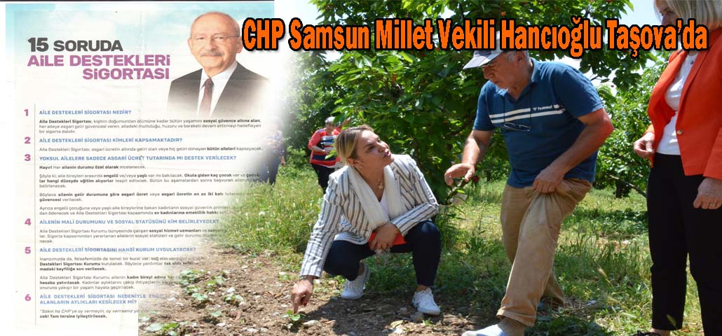 CHP Samsun Millet Vekili Hancıoğlu Taşova’da