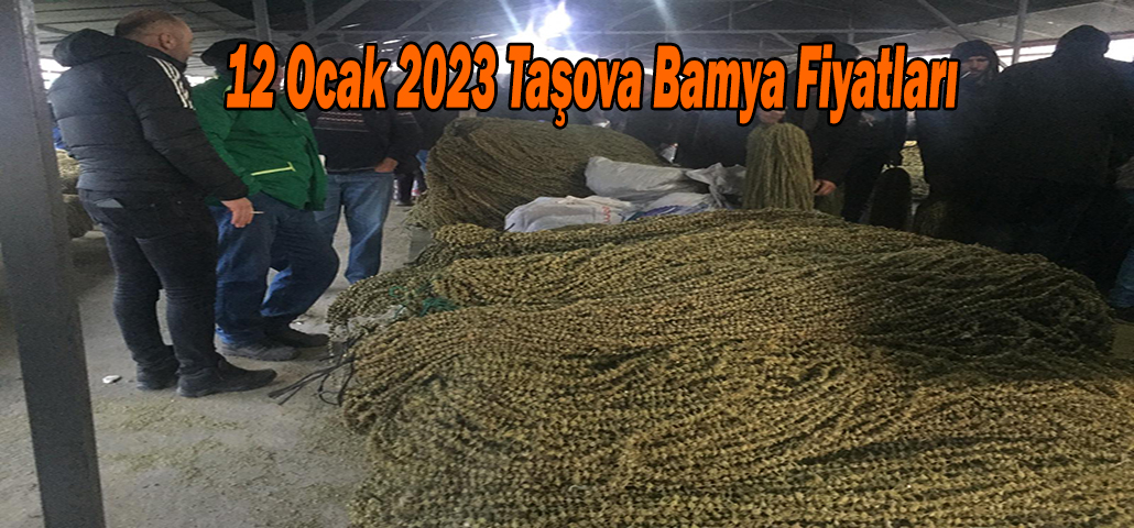 12 Ocak 2023 Taşova Bamya Fiyatları