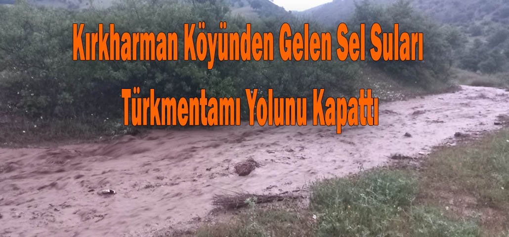 Kırkharman Köyünden Gelen Sel Suları Türkmentamı Yolunu Kapattı