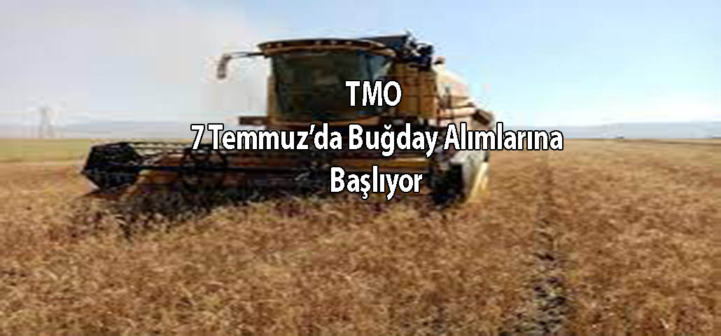 TMO 7 Temmuzda Buğday Alımlarına Başlıyor