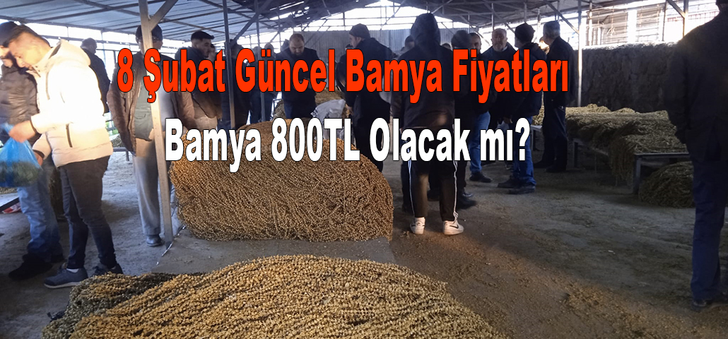 8 Şubat Güncel Bamya Fiyatları Bamya 800TL Olacak mı?