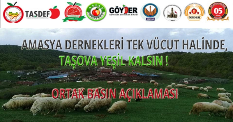 Amasya Dernekleri; 'Taşova Yeşil Kalsın!'