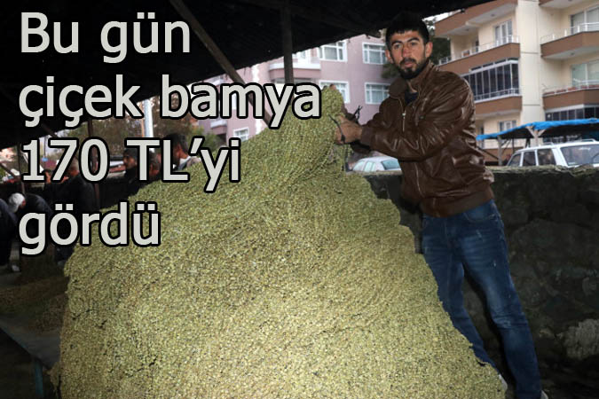 Bu gün çiçek bamya'nın kilosu 170 TL'yi gördü