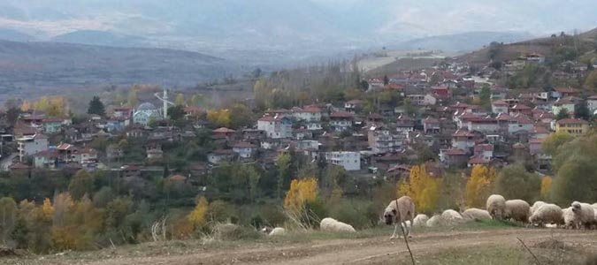 ÇAYDİBİ’NDE ESRARENGİZ KOYUN HIRSIZLIKLARI