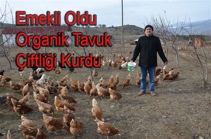 Emekli Oldu Organik Tavuk Çiftliği Kurdu