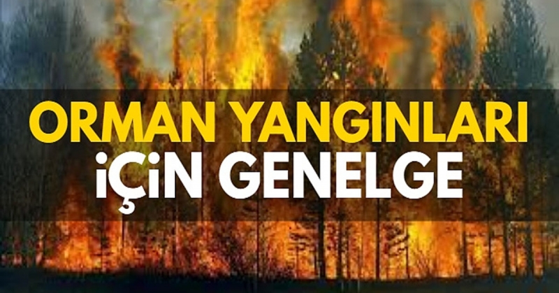 İçişleri Bakanlığından 'Ormanlık alanlarda ateş yakılmaması' Genelgesi