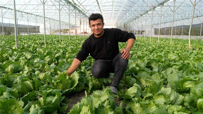 İLÇEMİZDE KIŞLIK SEBZE SEZONU BAŞLADI