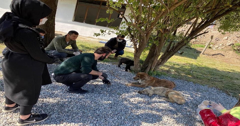 Taşova Hayvan Barınağına Destekler Artarak Devam Ediyor