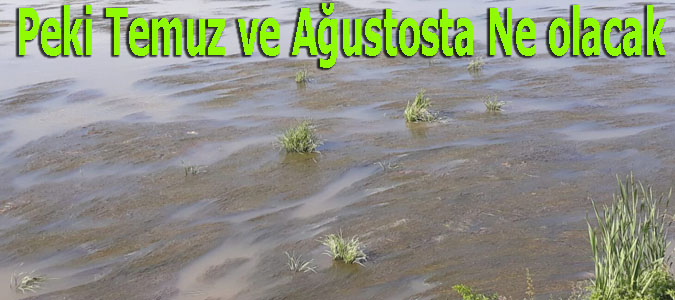 Temmuz Ve Ağustos Aylarında Ne Olacak