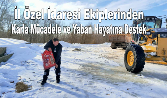 İl Özel İdaresi Ekiplerinden Karla Mücadele ve Yaban Hayatına Destek