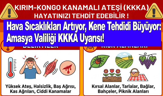 Hava Sıcaklıkları Artıyor, Kene Tehdidi Büyüyor: Amasya Valiliği KKKA Uyarısı!