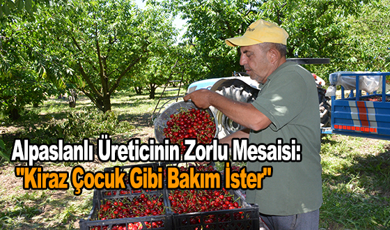 Alpaslanlı Üreticinin Zorlu Mesaisi: 
