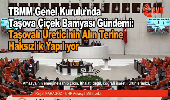 TBMM Genel Kurulu’nda Amasya Çiçek Bamyası Gündemi: 