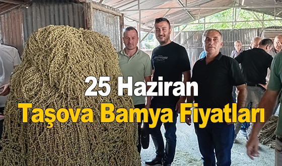 25 Haziran Taşova Bamya Fiyatları 