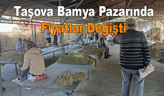 Taşova Bamya Pazarında Fiyatlar Değişti 