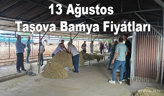 13 Ağustos Taşova Bamya Fiyatları