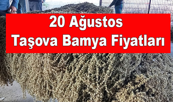 20 Ağustos Taşova Bamya Fiyatları