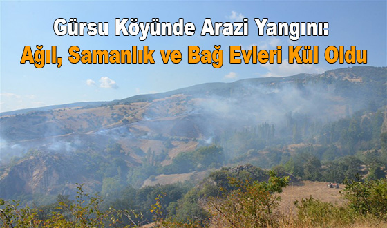 Gürsu Köyünde Arazi Yangını: Ağıl, Samanlık ve Bağ Evleri Kül Oldu