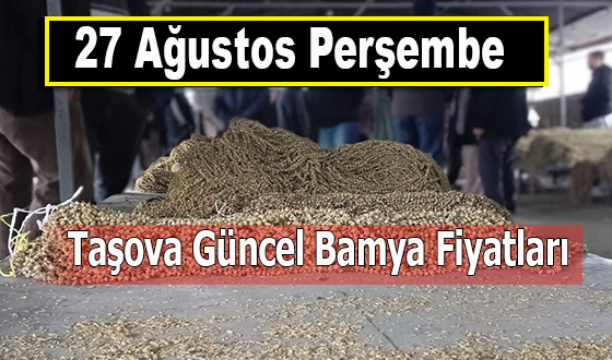 27 Ağustos Perşembe Taşova Güncel Bamya Fiyatları