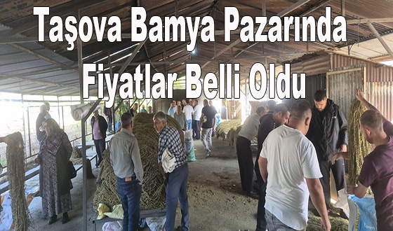 Taşova Bamya Pazarında Fiyatlar Belli Oldu