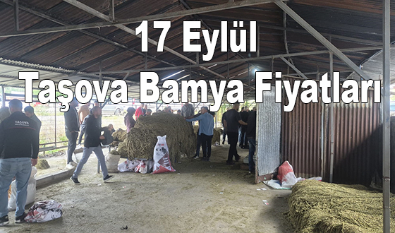 17 Eylül Taşova Bamya Fiyatları
