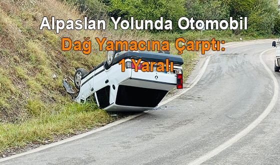 Alpaslan’da Otomobil Dağ Yamacına Çarptı: 1 Yaralı