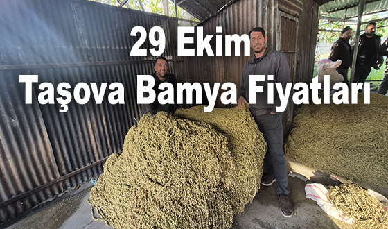 29 Ekim Taşova Bamya Fiyatları