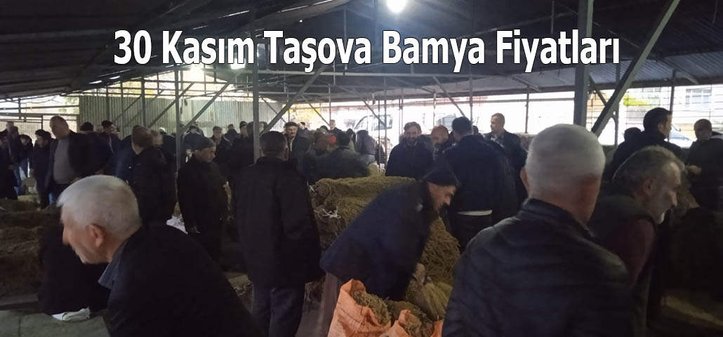 30 Kasım Taşova Bamya Fiyatları