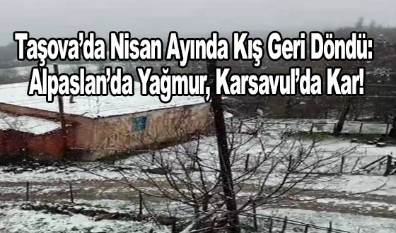 23 Nisan'da Taşova'da Lapa Lapa Kar