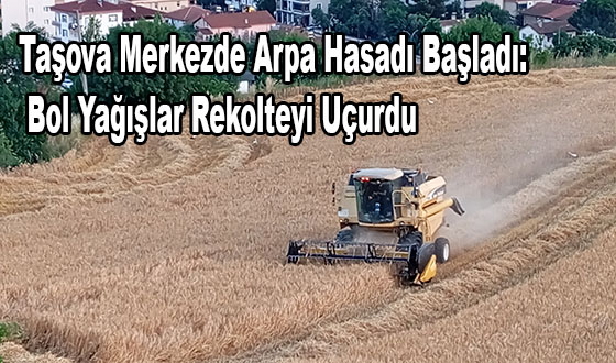 Taşova'da Arpa Hasadı Başladı